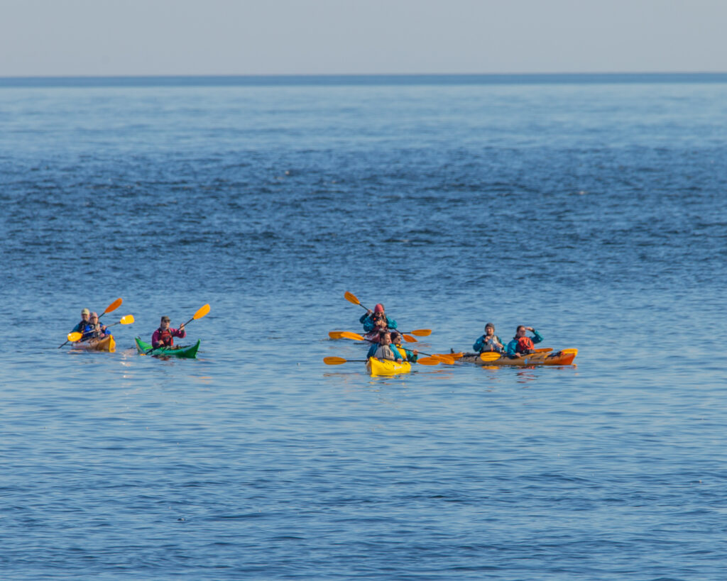 Showing the kyakers enjoying a day on the water looking for mamas and birds. 